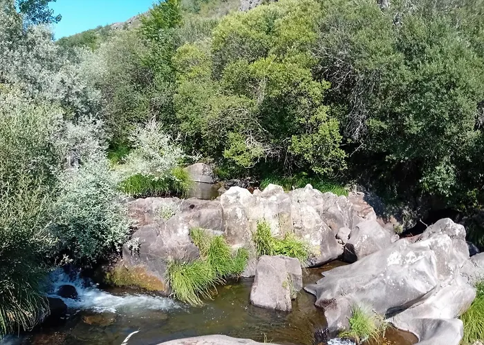 Ikizen Ii * Barbadillo del Pez